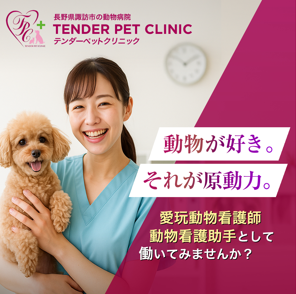愛玩動物看護師の求人情報